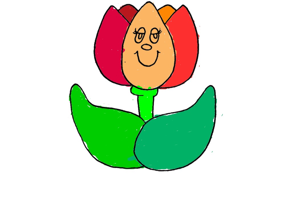 bojanke_1700896830.png