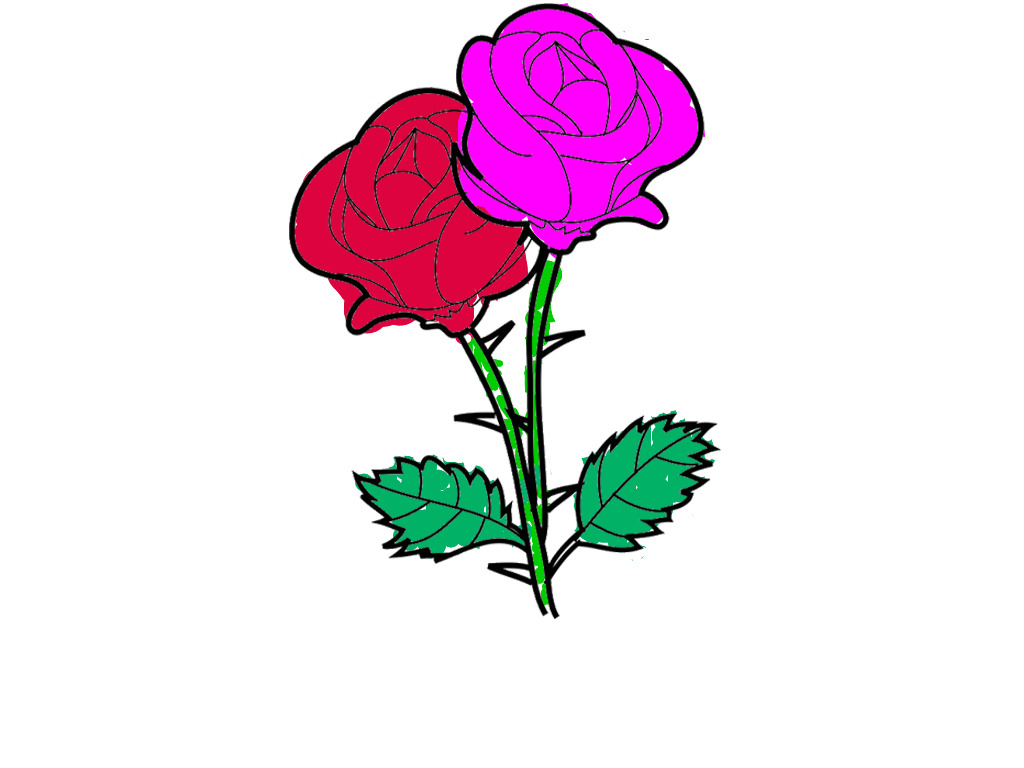 bojanke_1701798179.png