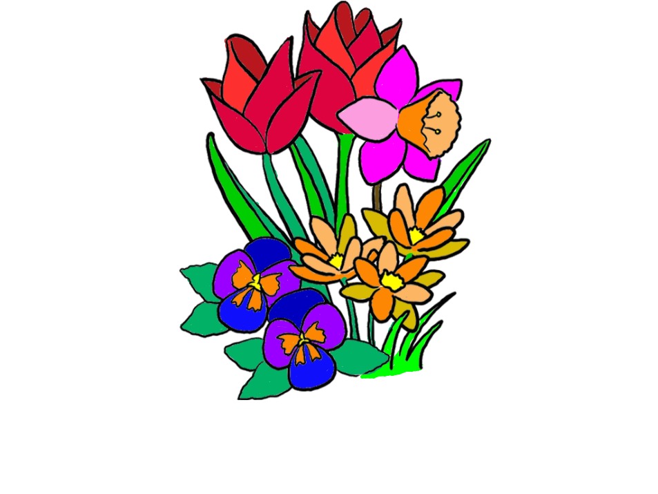 bojanke_1701852416.png