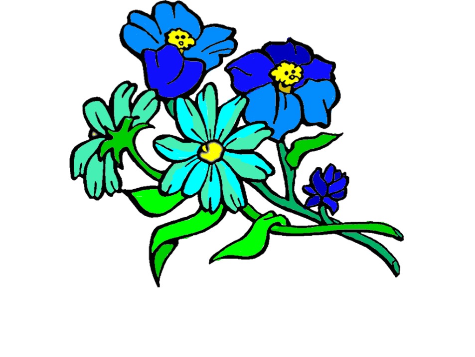bojanke_1701855423.png
