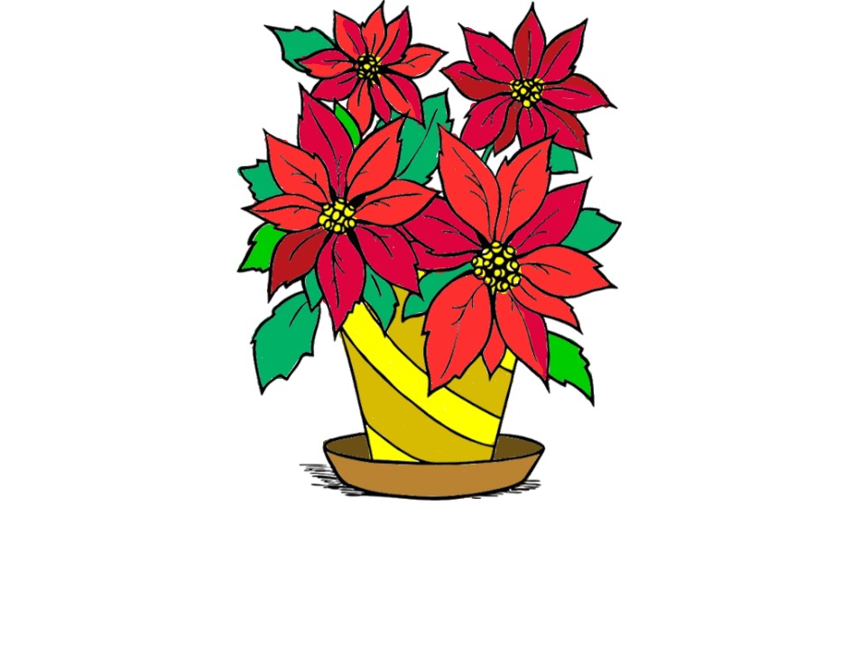 bojanke_1701858452.png
