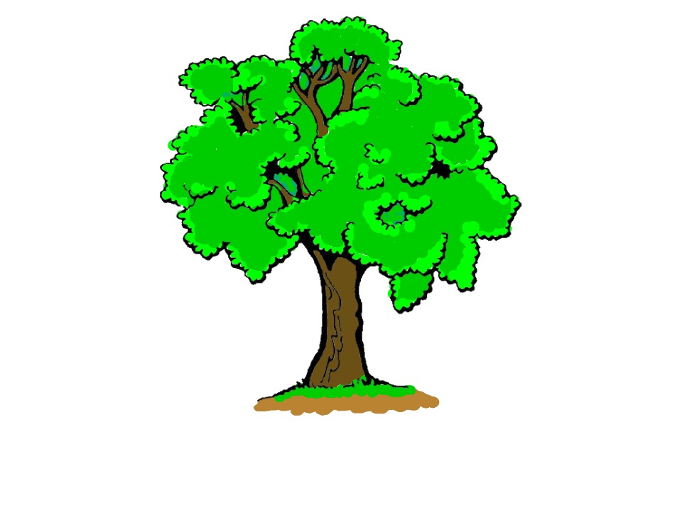 bojanke_1701867492.png