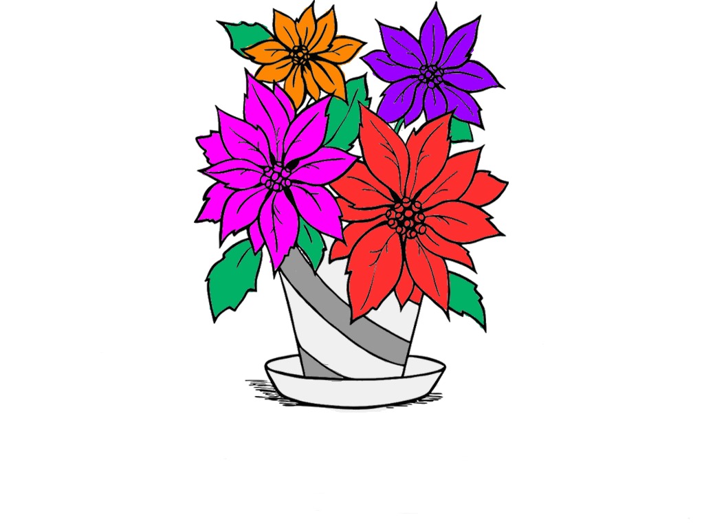 bojanke_1701867909.png