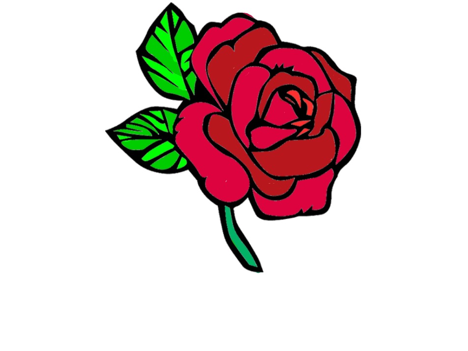 bojanke_1701870935.png