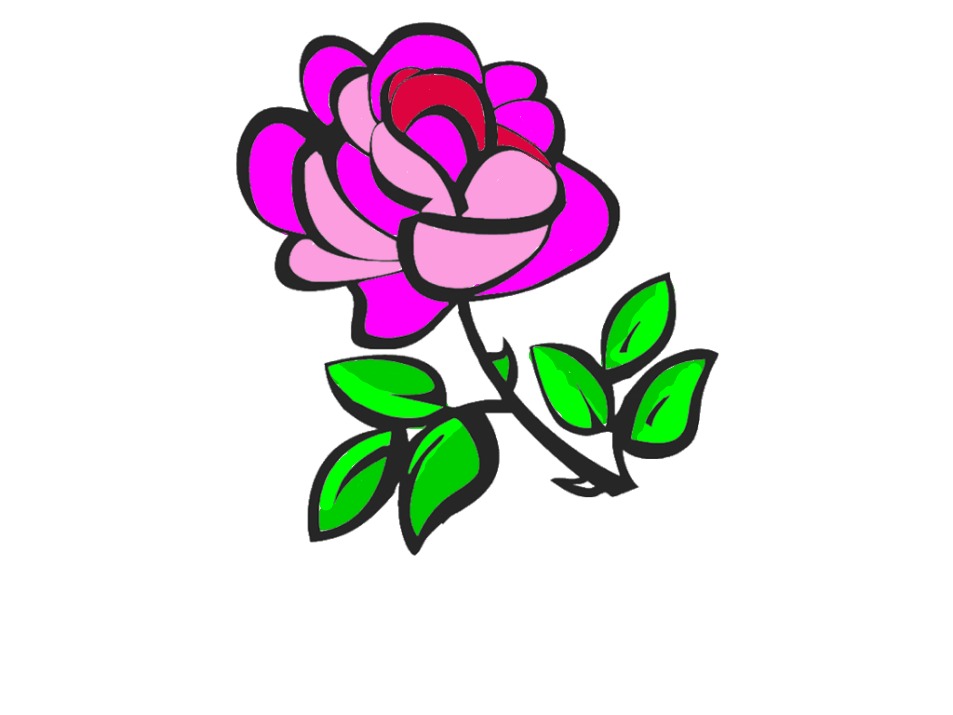 bojanke_1701871348.png
