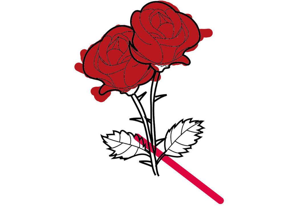 bojanke_1701873646.png