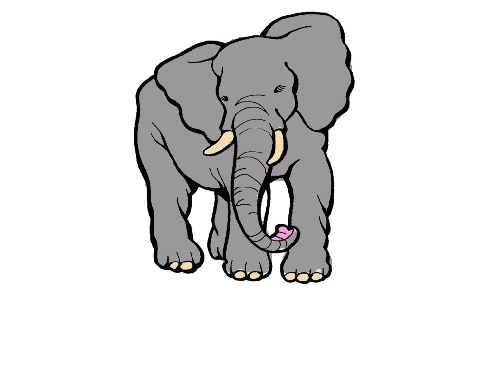 bojanke_1701878793.png
