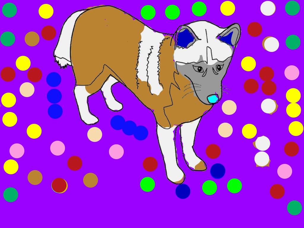 bojanke_1701889461.png