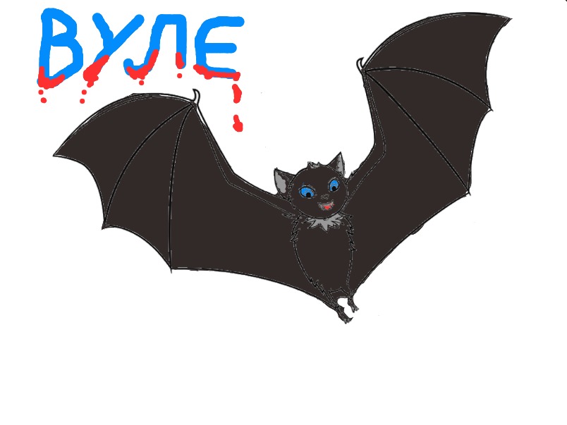 bojanke_1701892777.png