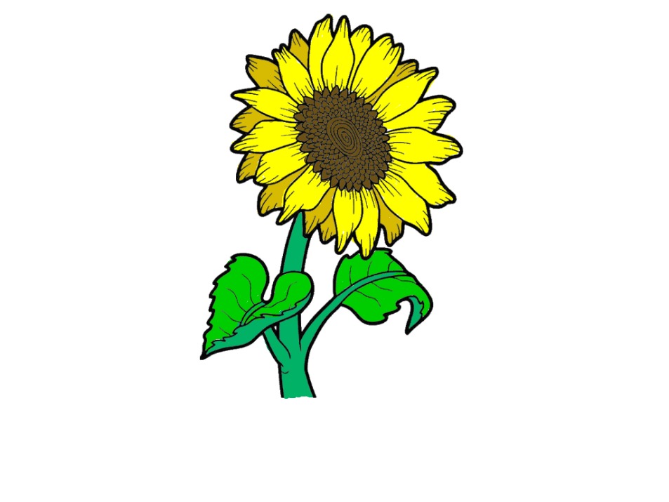 bojanke_1701935607.png