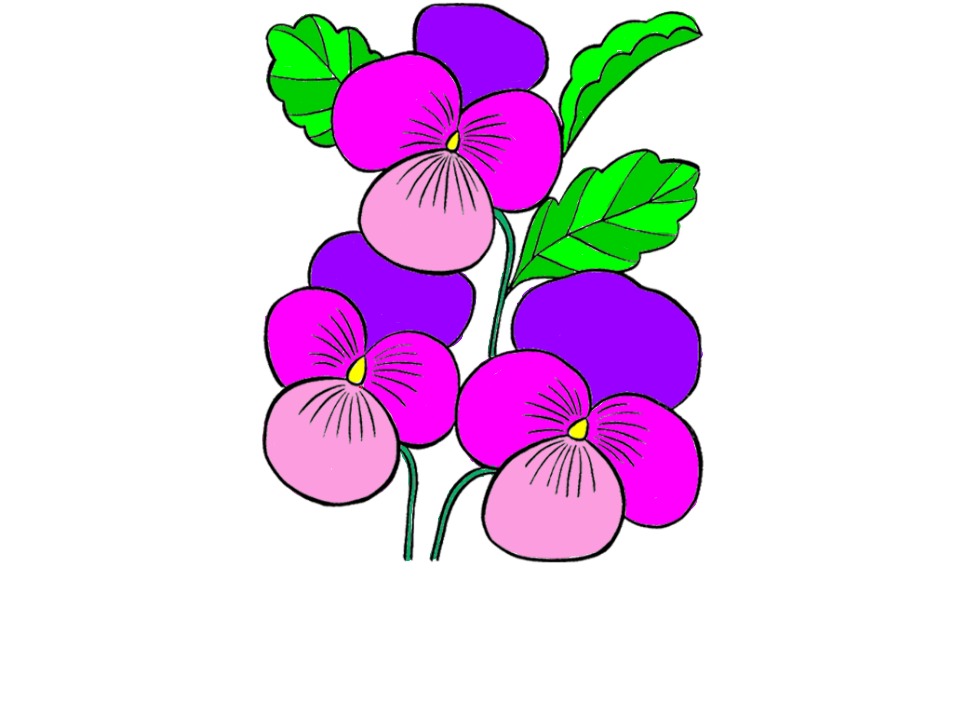 bojanke_1701948108.png