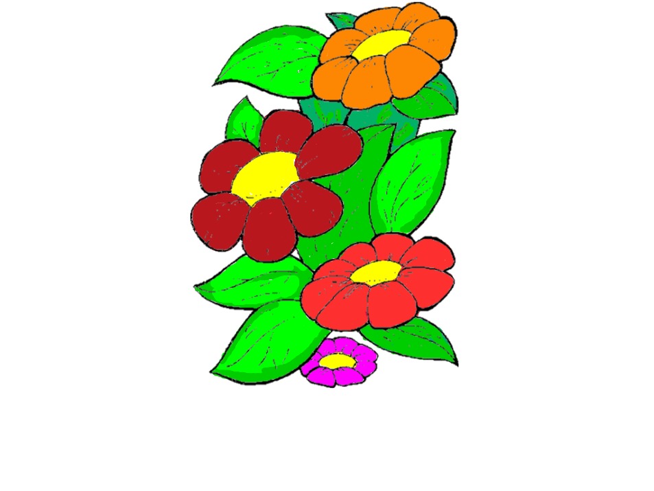 bojanke_1701955263.png
