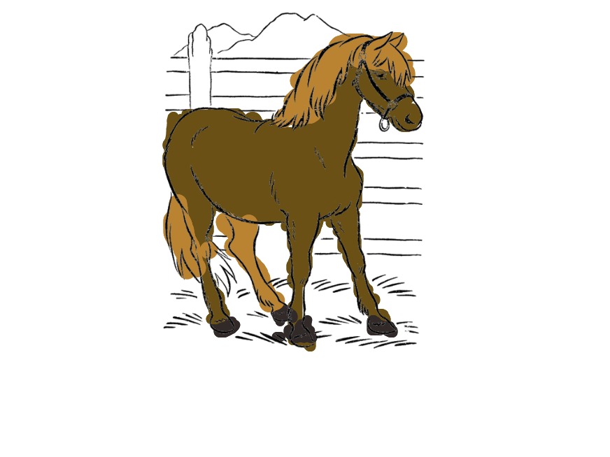 bojanke_1702122032.png