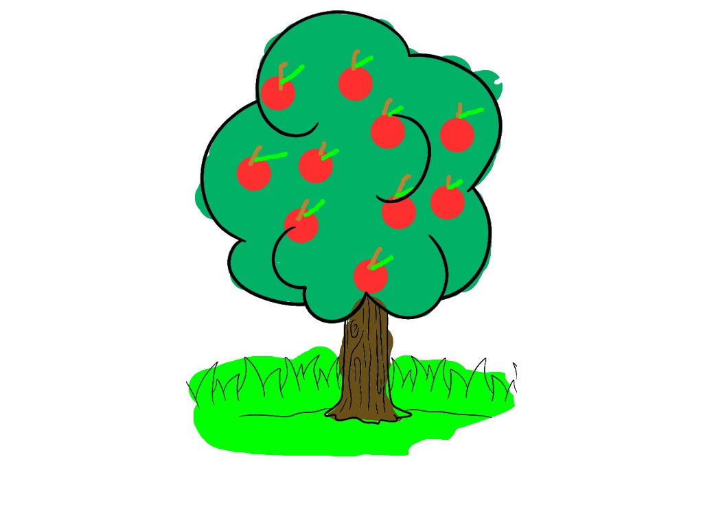 bojanke_1702130875.png
