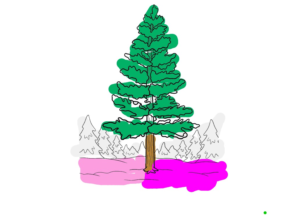 bojanke_1702322689.png