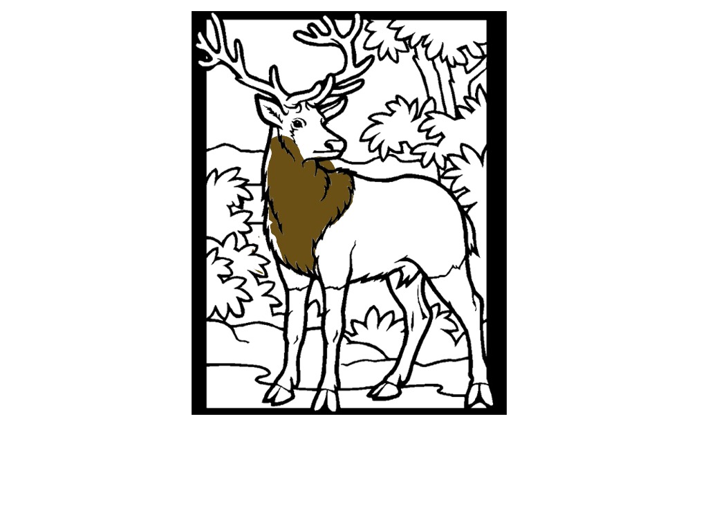 bojanke_1702460831.png