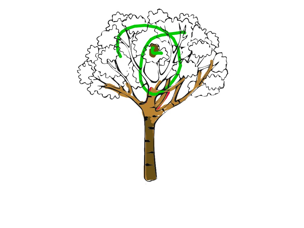 bojanke_1702997275.png