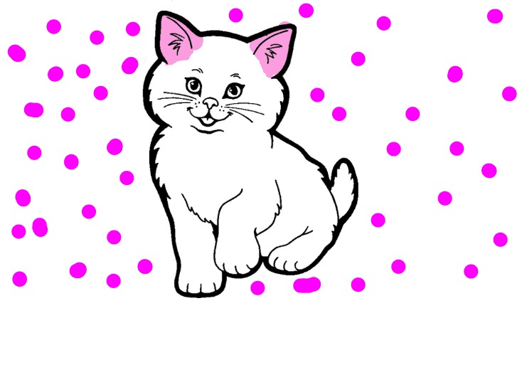 bojanke_1703001863.png