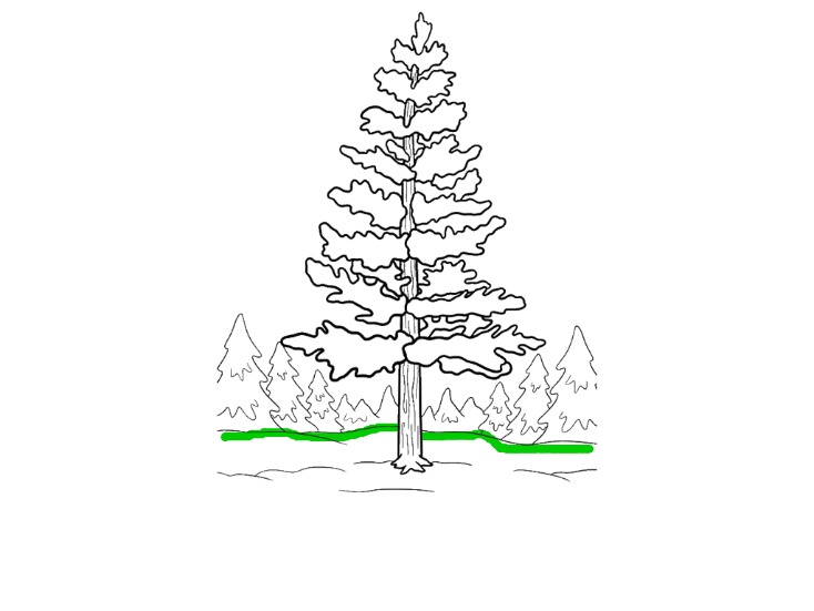 bojanke_1703002133.png