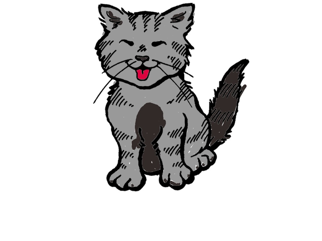 bojanke_1703003965.png