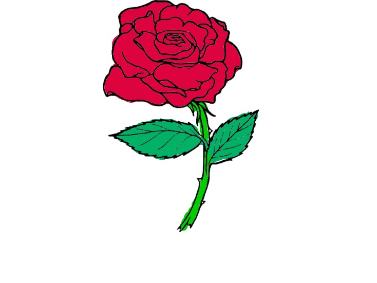 bojanke_1703057462.png