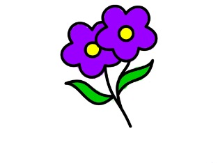 bojanke_1703172192.png