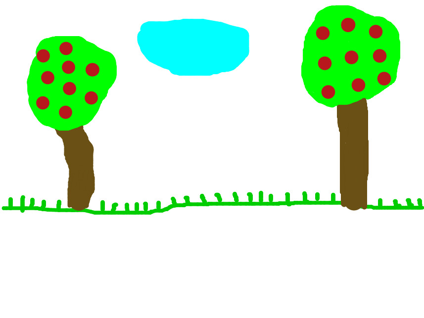 bojanke_1703181563.png