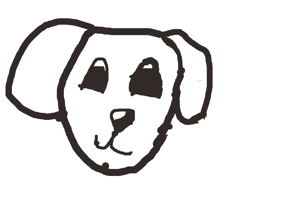 bojanke_1703185580.png