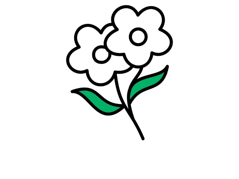 bojanke_1703339199.png