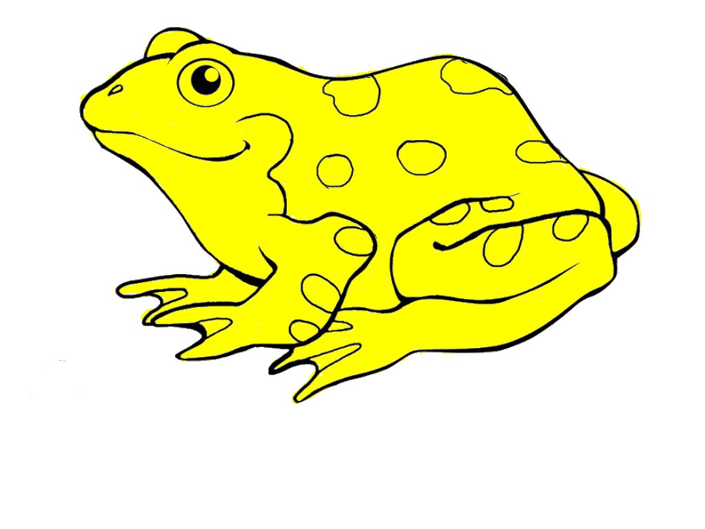 bojanke_1703348458.png