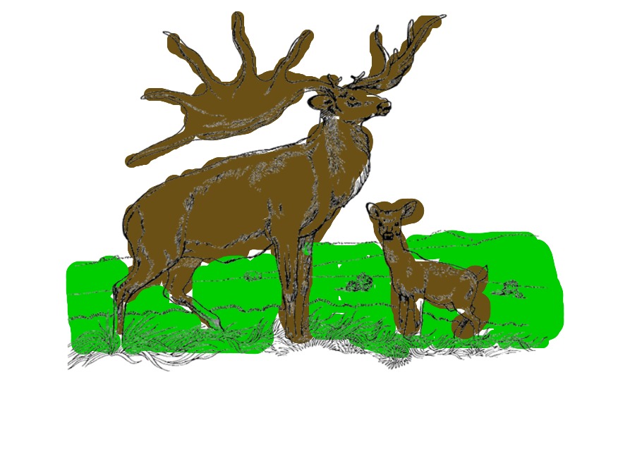 bojanke_1703411372.png