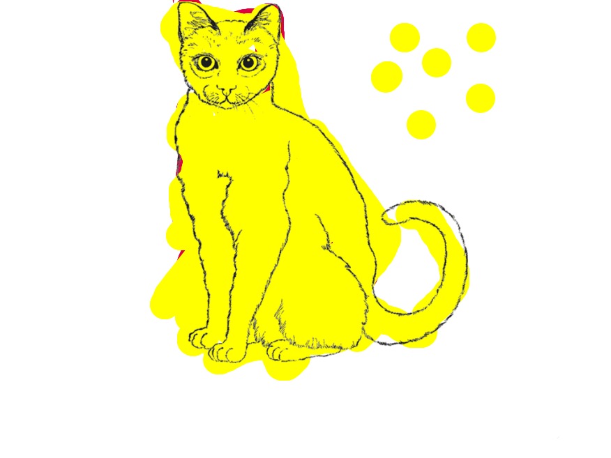bojanke_1703485451.png