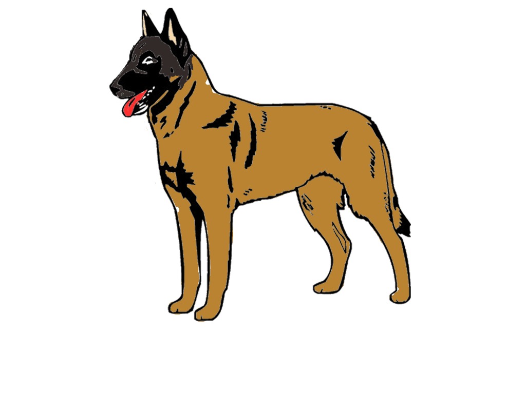 bojanke_1703517857.png