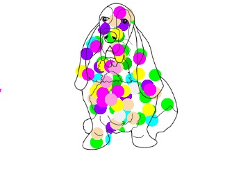 bojanke_1703527253.png