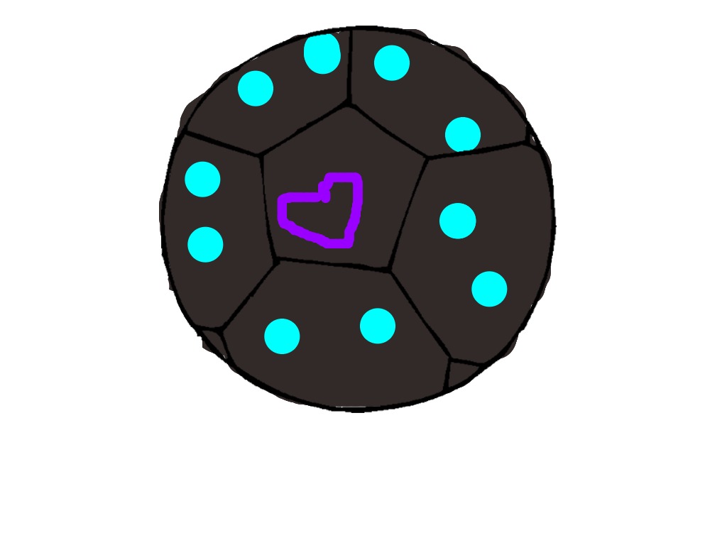 bojanke_1703530464.png