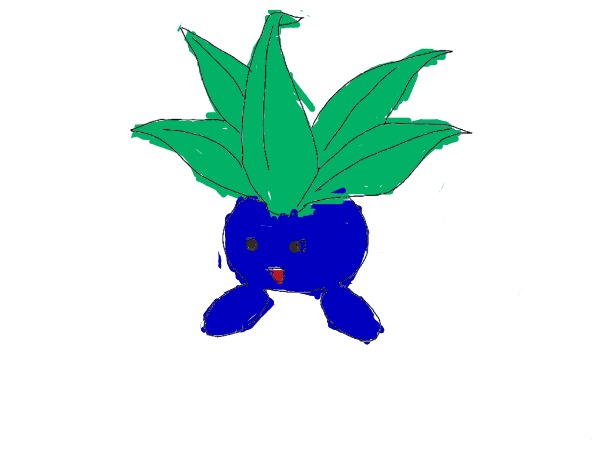 bojanke_1703609521.png