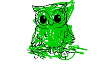 bojanke_1703625101.png