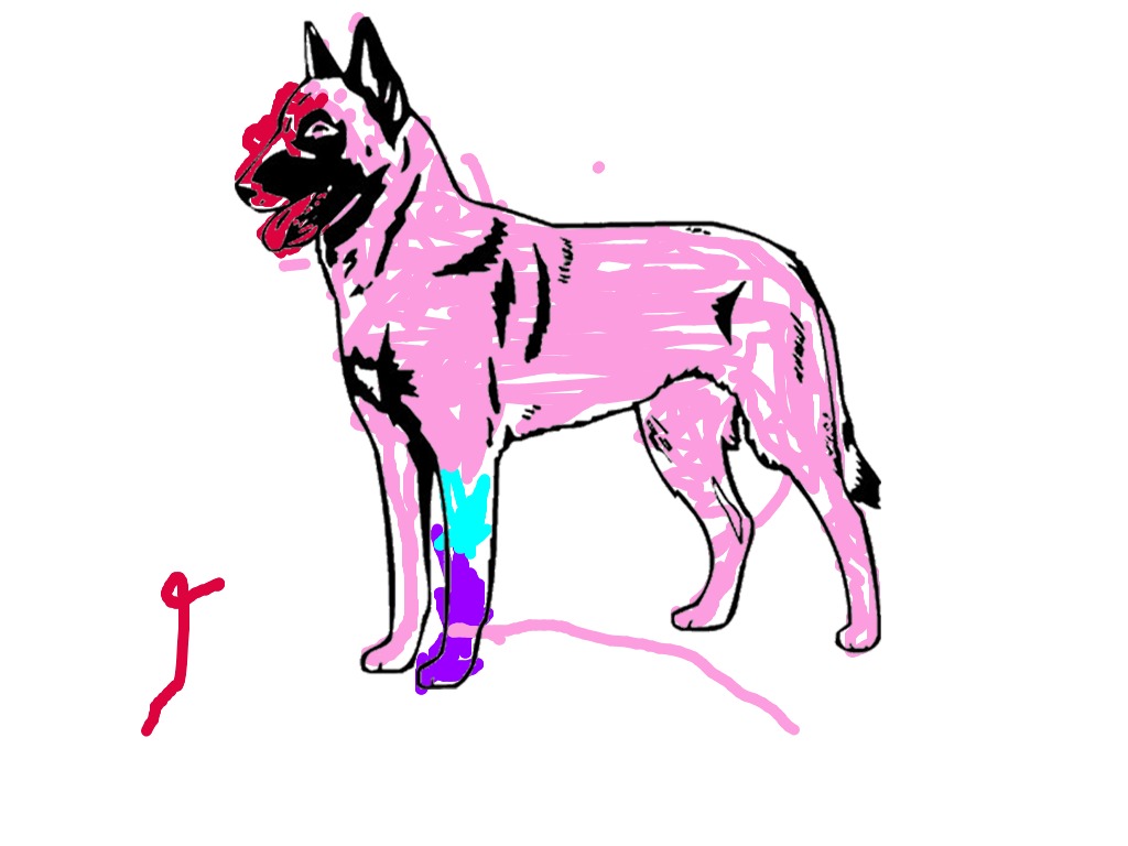 bojanke_1703672125.png
