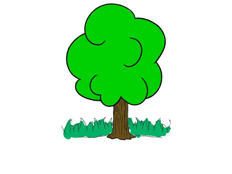 bojanke_1703856848.png