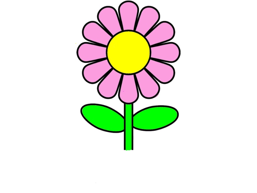 bojanke_1703973432.png