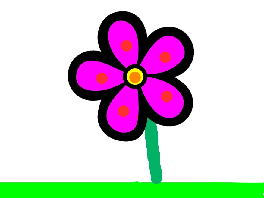 bojanke_1704136143.png