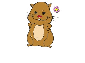 bojanke_1704199884.png