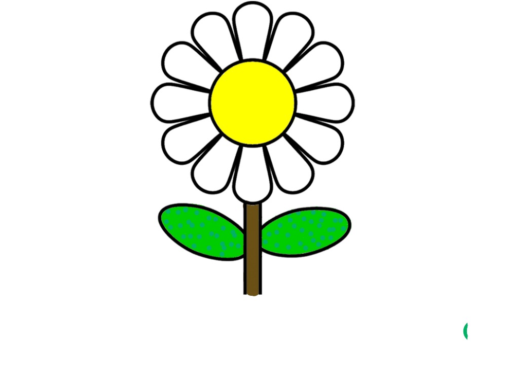 bojanke_1704207779.png