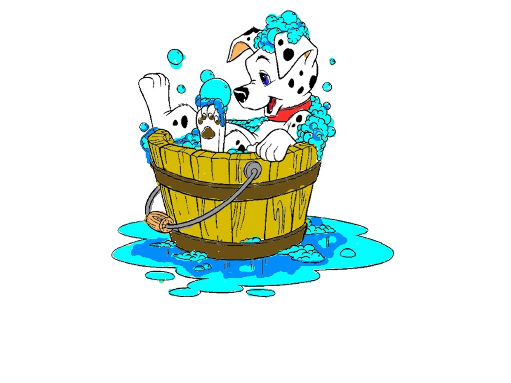 bojanke_1704348816.png