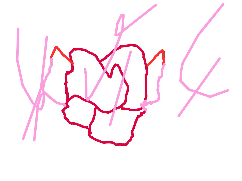 bojanke_1704651484.png