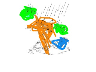 bojanke_1704821341.png