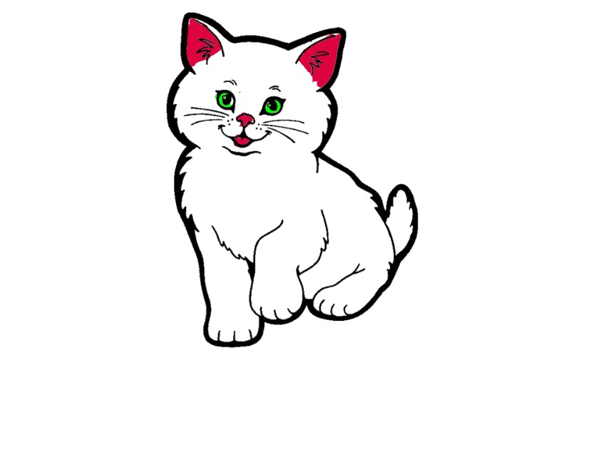 bojanke_1704988890.png