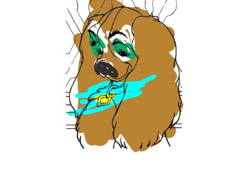 bojanke_1704999347.png