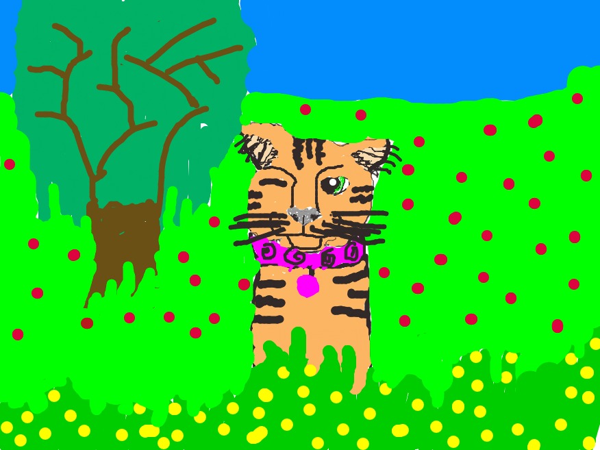 bojanke_1705251259.png