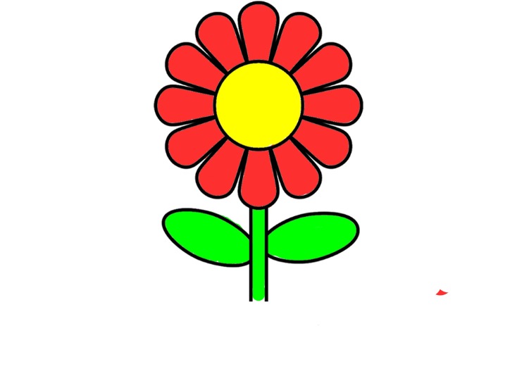 bojanke_1705396373.png